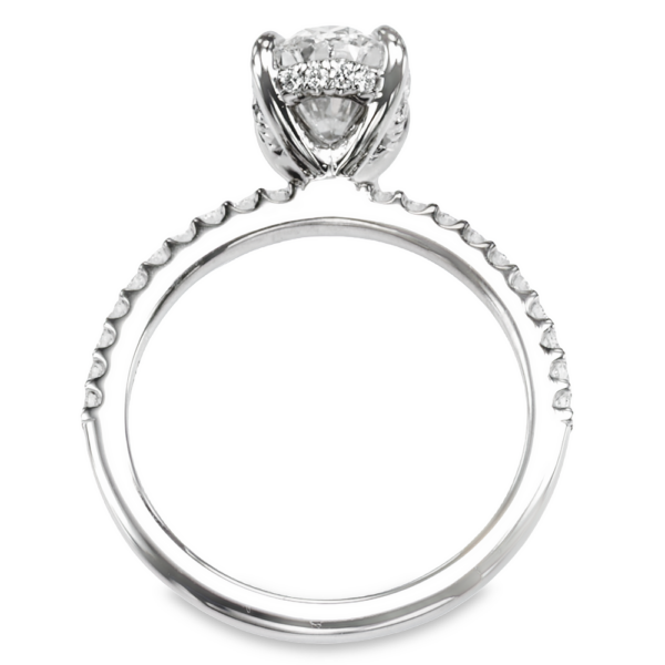 14K White Gold Hidden-Halo Accented Diamond Engagement Ring - Dallas TX
