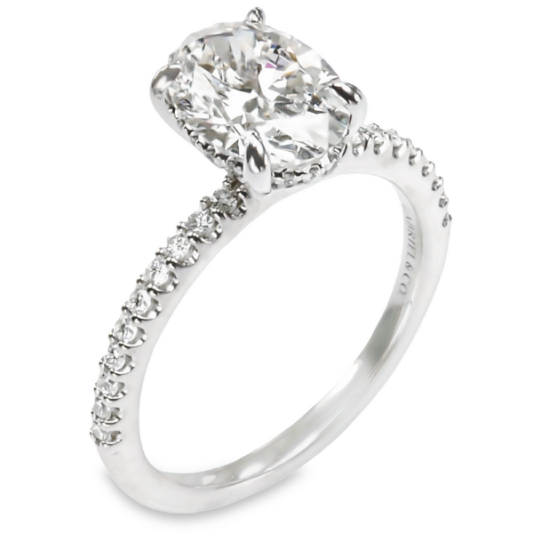 14K White Gold Hidden-Halo Accented Diamond Oval Engagement Ring - Dallas TX