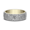 14K Gold and Tantalum 6.5mm – Meteorite Men’s Wedding Band Ammara Stone 46