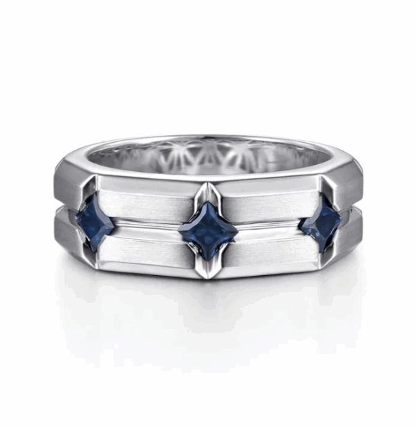 Sterling Silver Men’s Horizontal Brush Finish Station Ring with .93ctw Princess Cut Blue Sapphires Size 10 Fine Jewelry 11