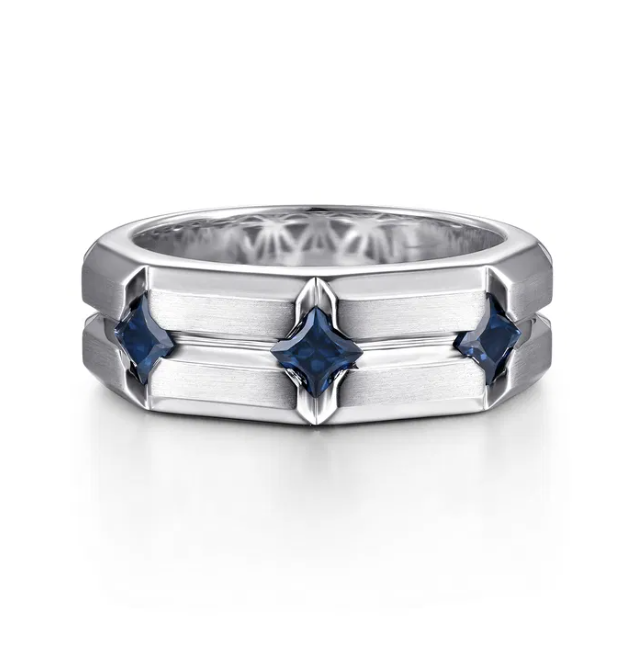 Sterling Silver Men’s Horizontal Brush Finish Station Ring with .93ctw Princess Cut Blue Sapphires Size 10 Fine Jewelry